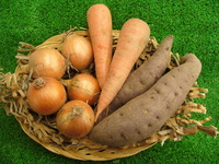 無肥料野菜入荷！